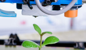 3D printing and sustainability: innovative approaches and practices
